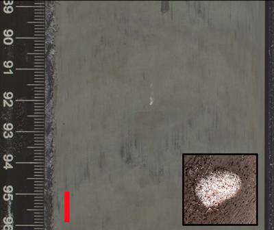 Split surface of a deep-sea sediment core, showing a mm-scale sandy pocket surrounded by muddy sediment. Inset shows an example of a sandy 'bleb' at higher magnification