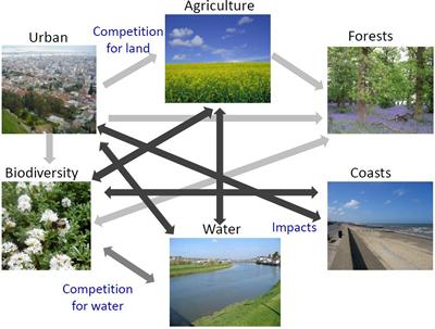CLIMSAVE interconnections