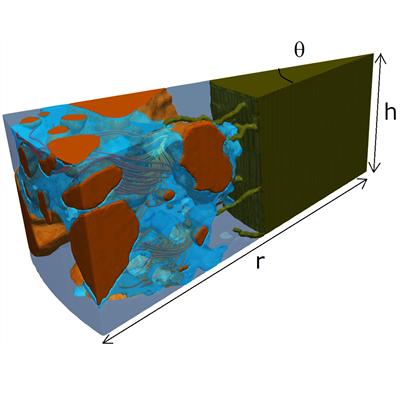Identification and quantification of role of root hairs in crop nutrition