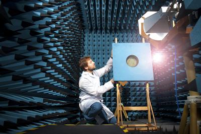 Seeing the wood and the trees