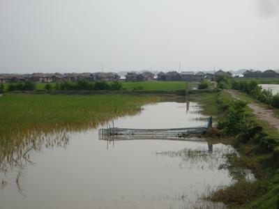 Ganges-Brahmaputra-Meghna delta