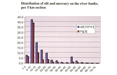 Distribution of ash and mercury on the river banks