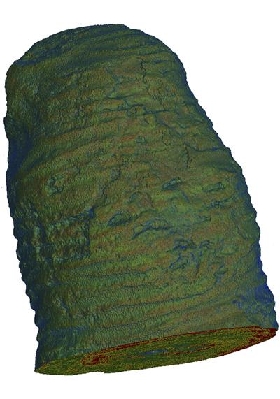 Density map of the exterior of the beehive structure