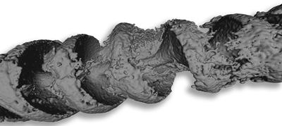 Portland Screw (Aptyxiella portlandica) pseudomorph