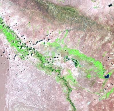 Irrigated areas around the Syr Darya river