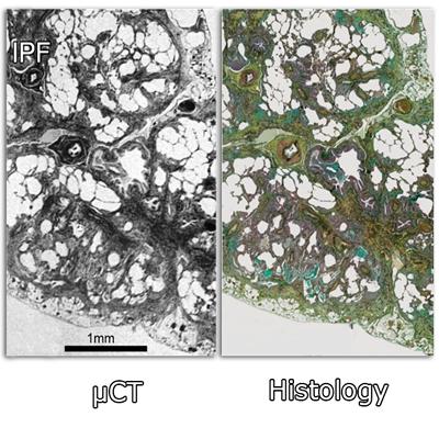 MicroCT supports both initialization and validation of physically-based simulations of composite failure within a direct engineering context
