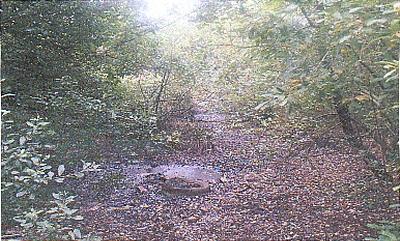 Leachate seepage from the landfill site