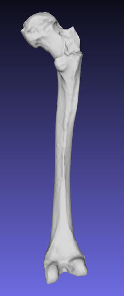 Surface mesh reconstruction from CT images