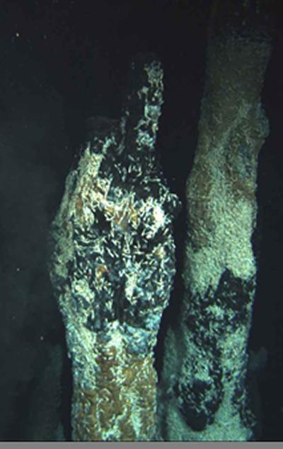 (Source: M Hodgkinson)