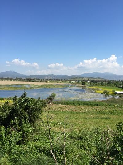 View towards the inner port of Roman Ephesus