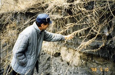 Layers of mercury-contaminated power station ash on the banks of the River Nura