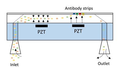 Diagram of the device