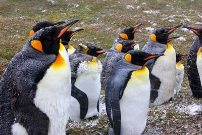 Researcher photo competition