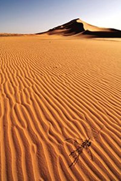 Image of desert
