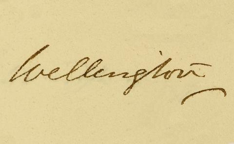 Wellington signature