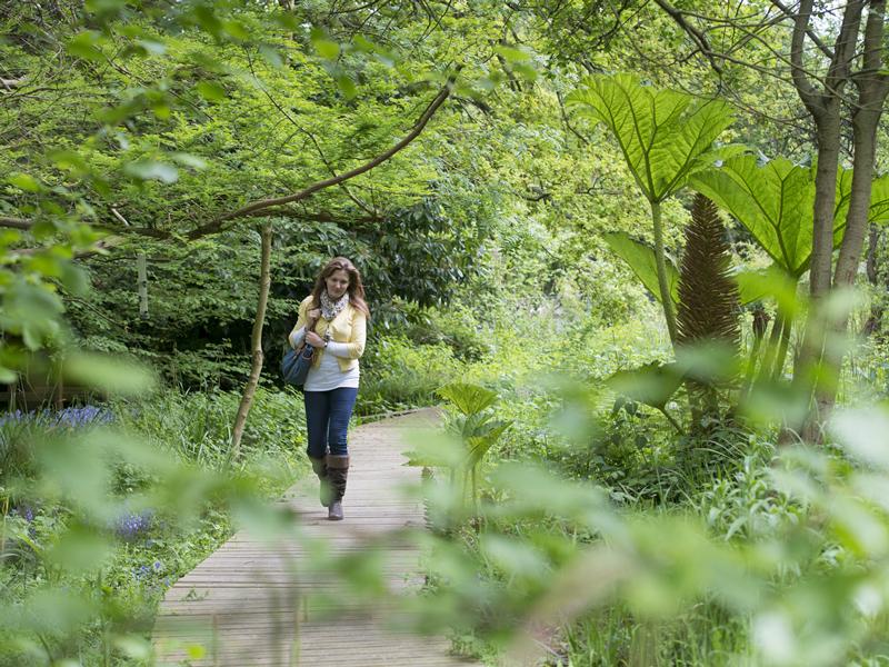 Walking & Cycling to university