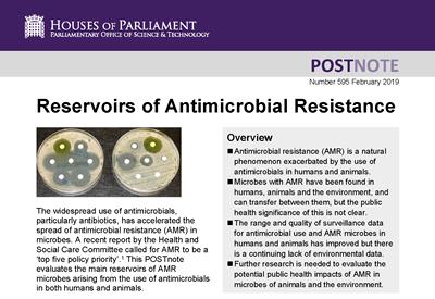 Front cover of POSTnote 595