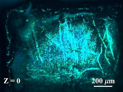 Stainless steel under micro