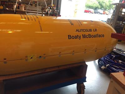 Boaty McBoatface