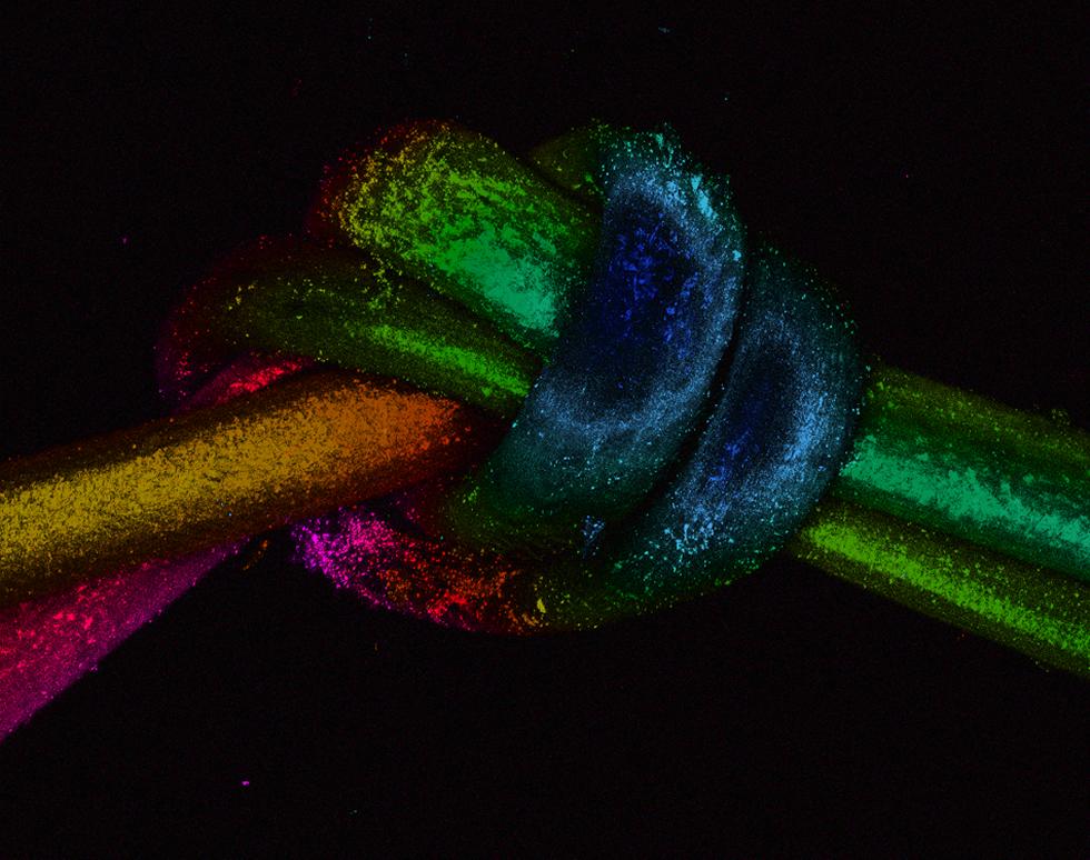 Hair knot - Jacqui Nimmo