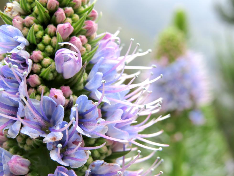 Ecology and Conservation in action