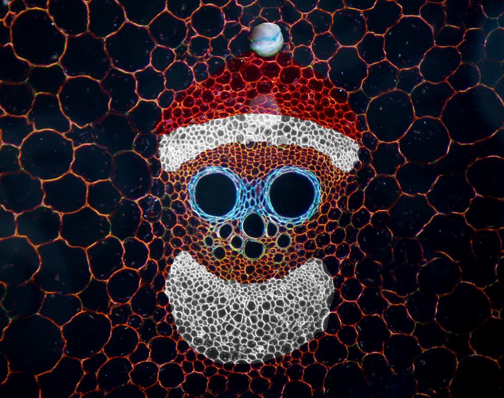 Merry spoopmas - Matt Lawson