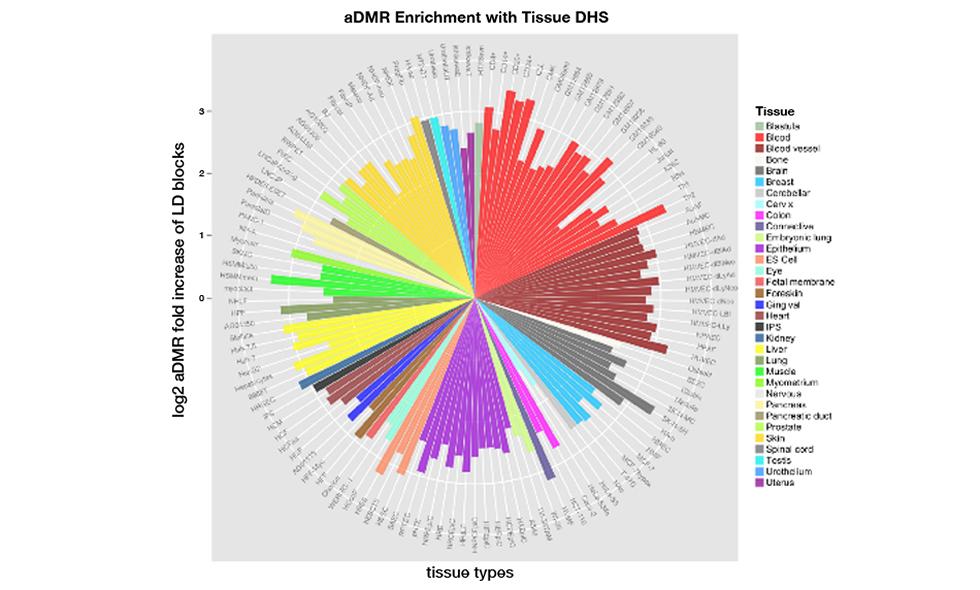 Epigenomic Medicine Group