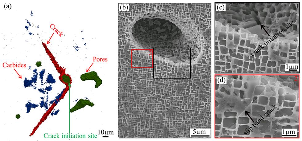 Figure 2 - CT of the crack morphology at 55k cycles and crack initiation at the bottom of the pore at 50 cycles