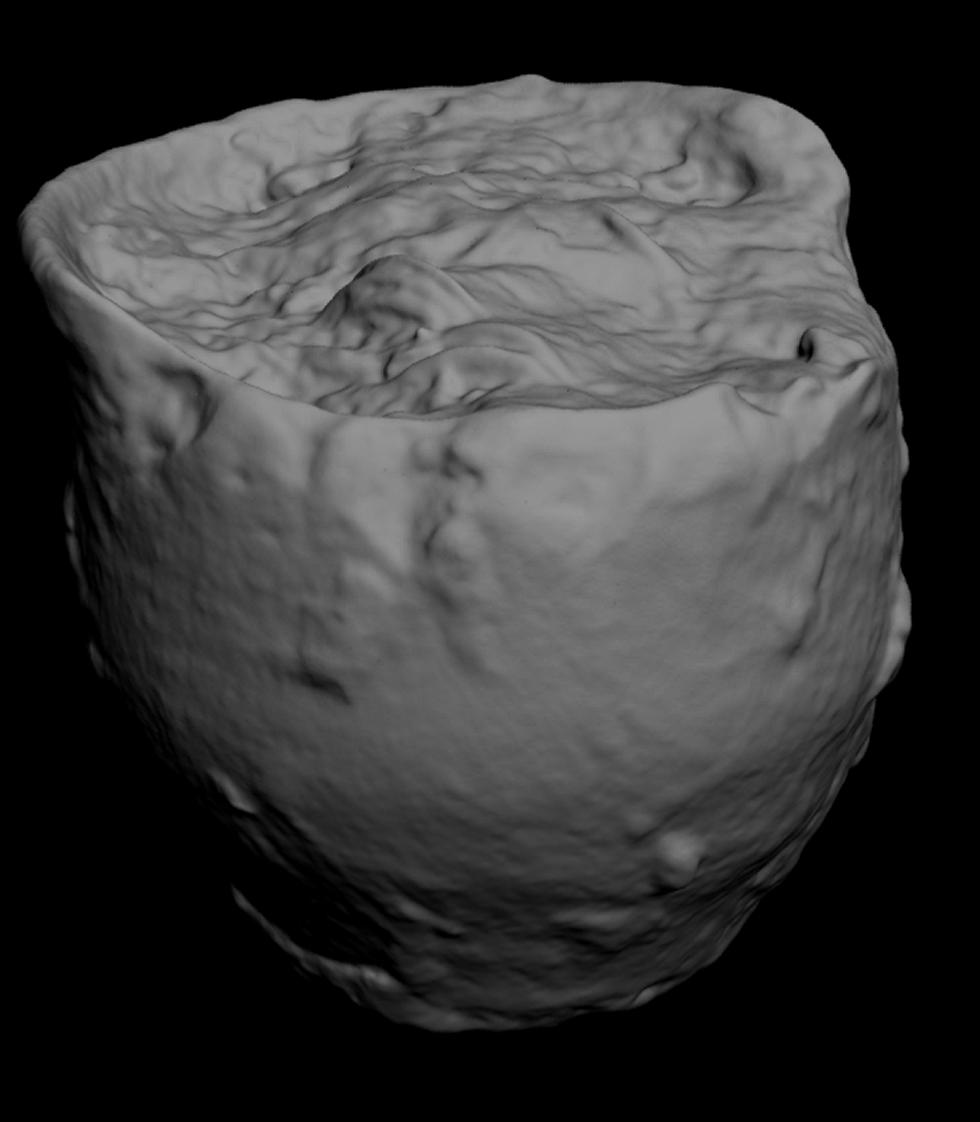 Figure 5 - Laser scan of the exterior of the pot