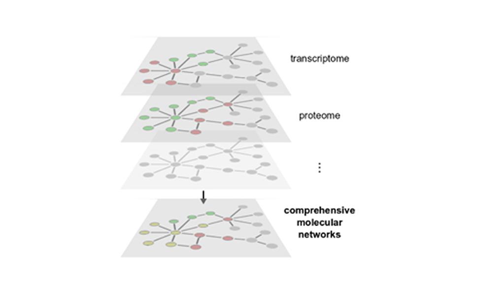 Cellular Systems Biology