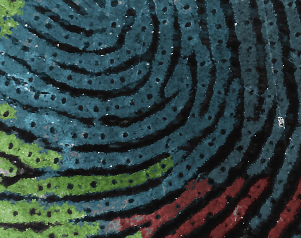 Fingerprint - Jacqui Nimmo