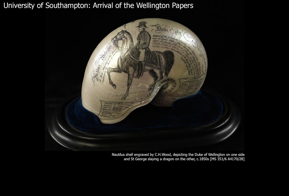 Image #26: Wellington Shell