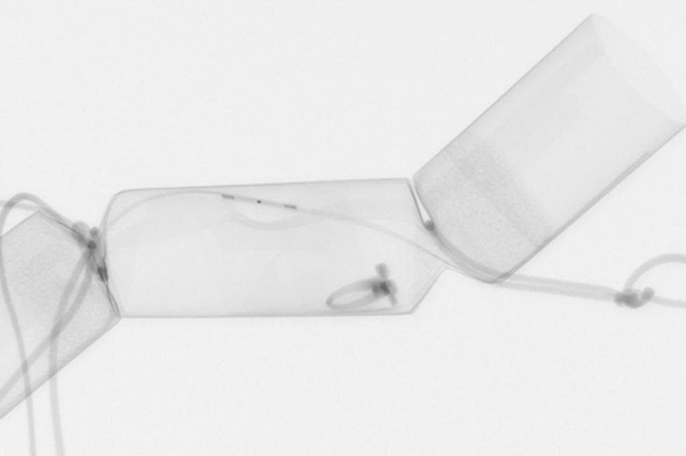 Dragonfly Day at µ-VIS