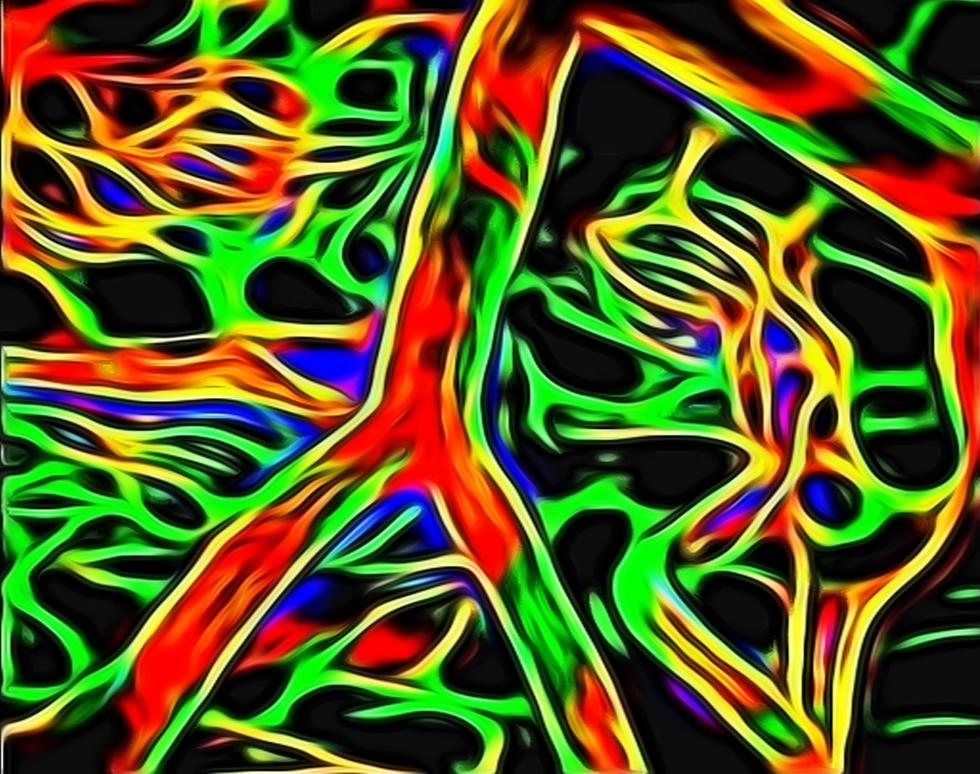 Scream Vessels - Matthew Sharp