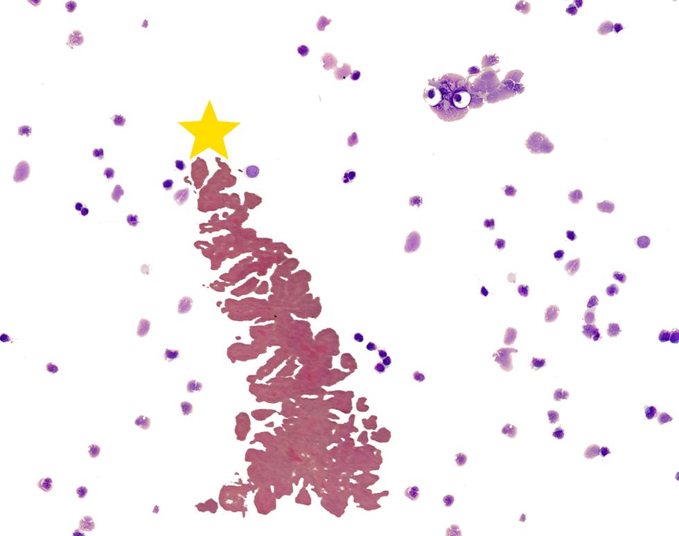 Christmas owl - Victoria Doyle