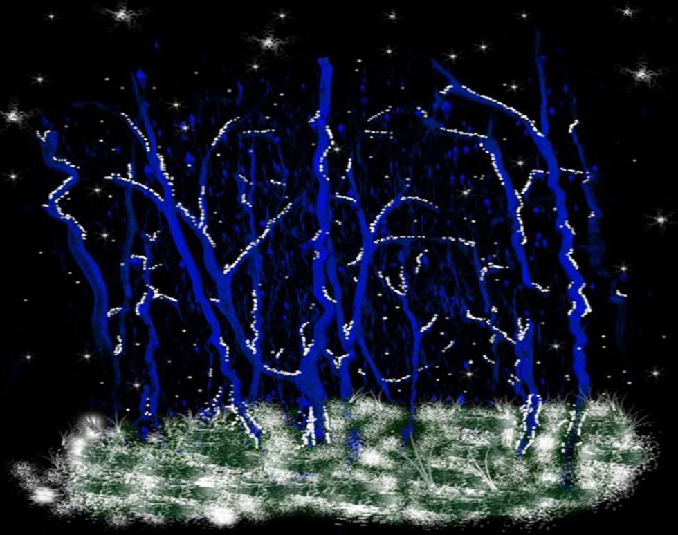 Untitled - Charlotte Harrison