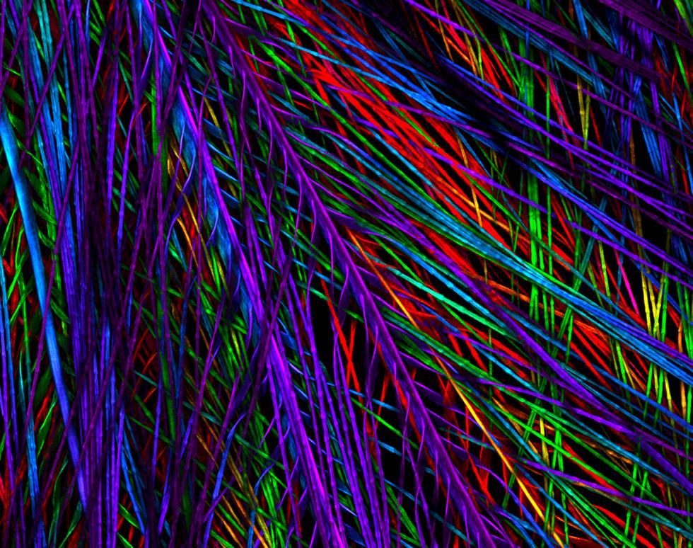 Feather - Ellie Keeling