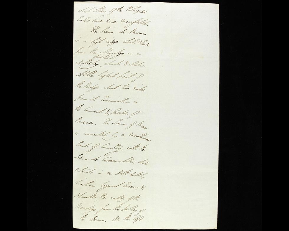 MS61/WP1/312/228_f2v