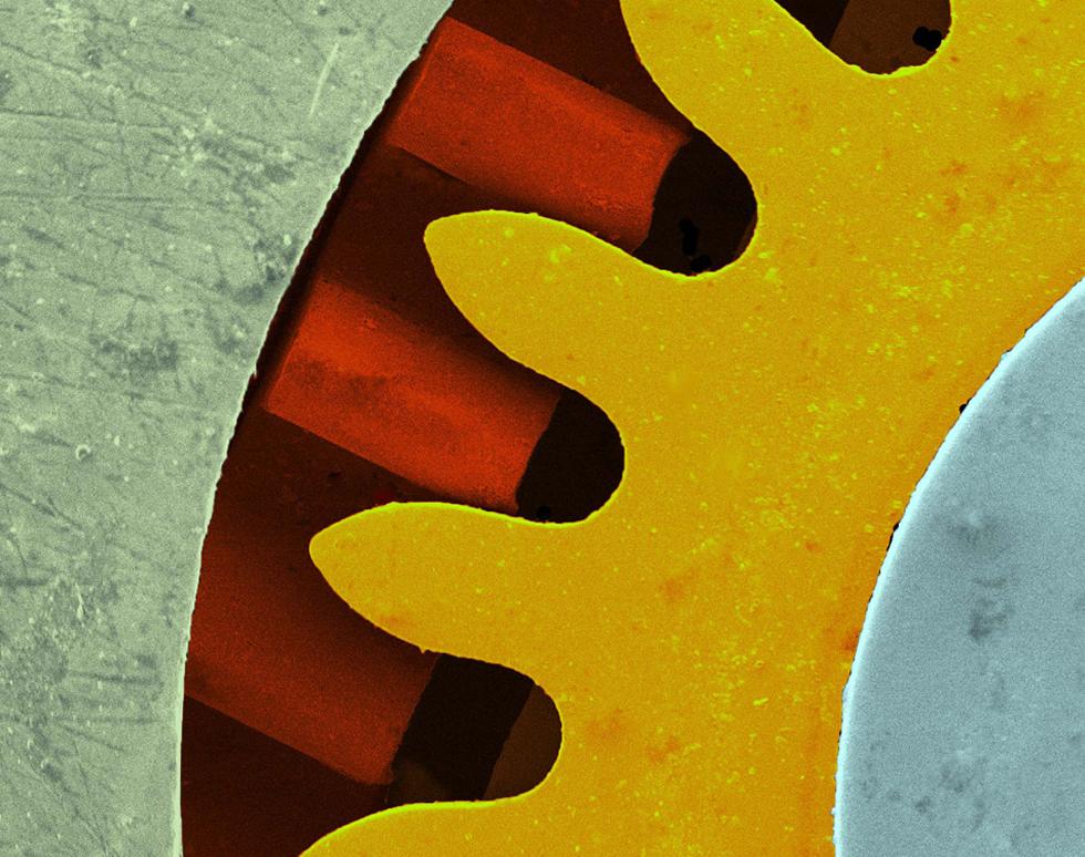 Watch - James Thompson