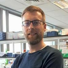 Thumbnail photo of Dr Matthew Loxham