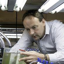 Thumbnail photo of Professor Martin Solan