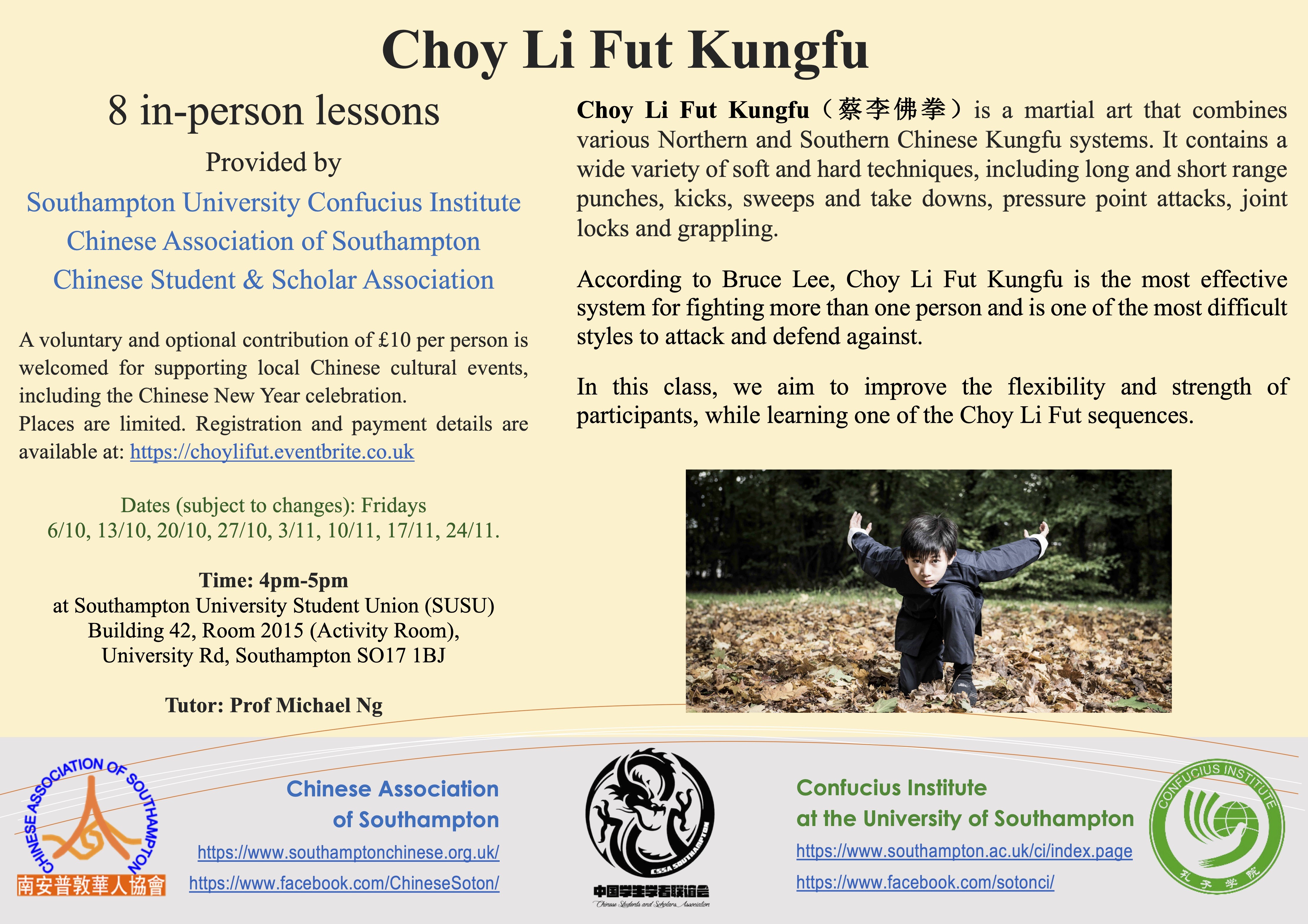 Choy Li Fut Kungfu flyer