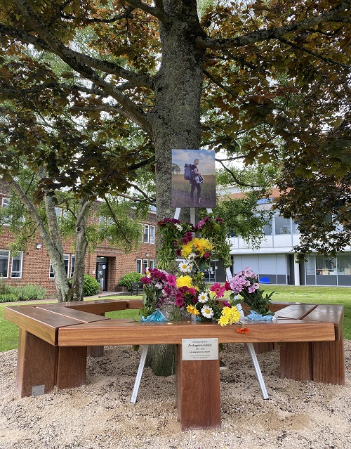 Memorial bench to Angelo Grubisic