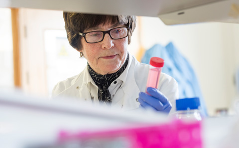 Freda Stevenson in the lab