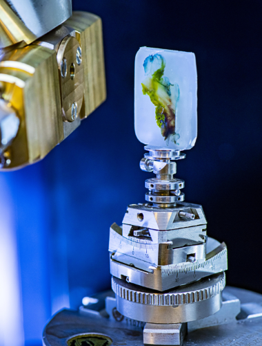 3D X-ray Histology (XRH) at UoS