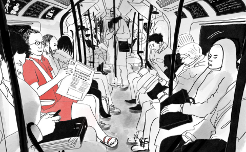 Artwork by Lily Ash Sakula