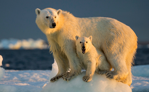 2030 International climate and nature action