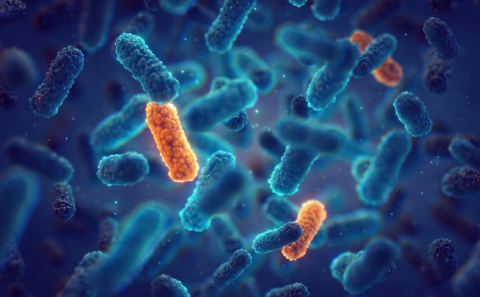 Antimicrobial resistance national action plan