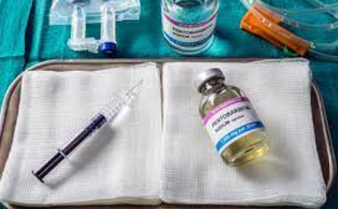 Assisted dying and assisted suicide