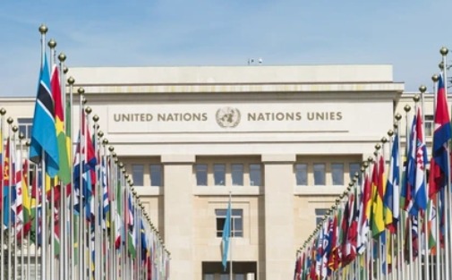 International organisations